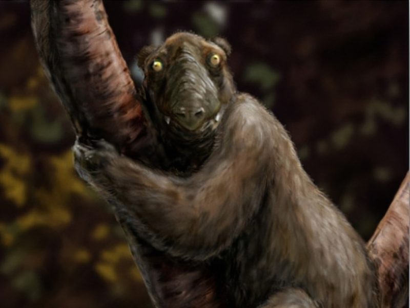 An illustration of the extinct Megaladapis edwardsi