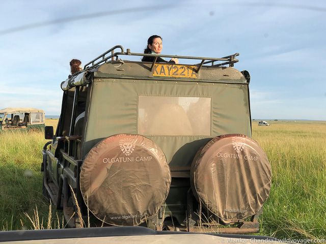 Safari experience