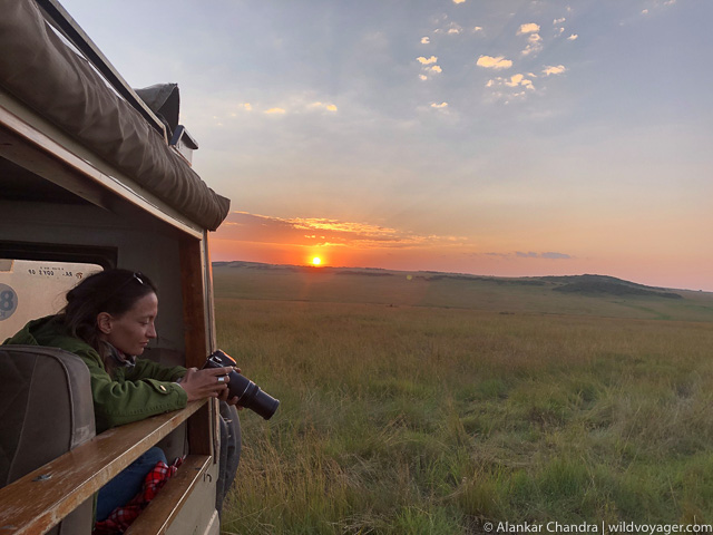 Sunset with a guest