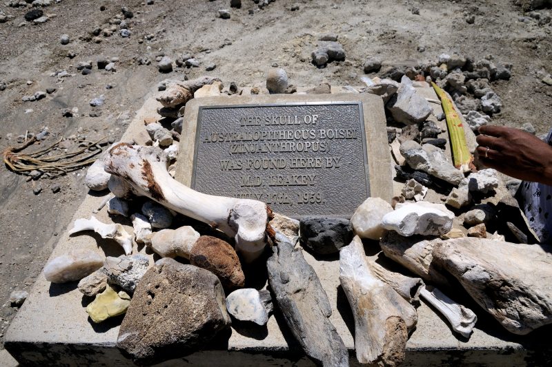 A plaque marking the discovery of Australopithecus