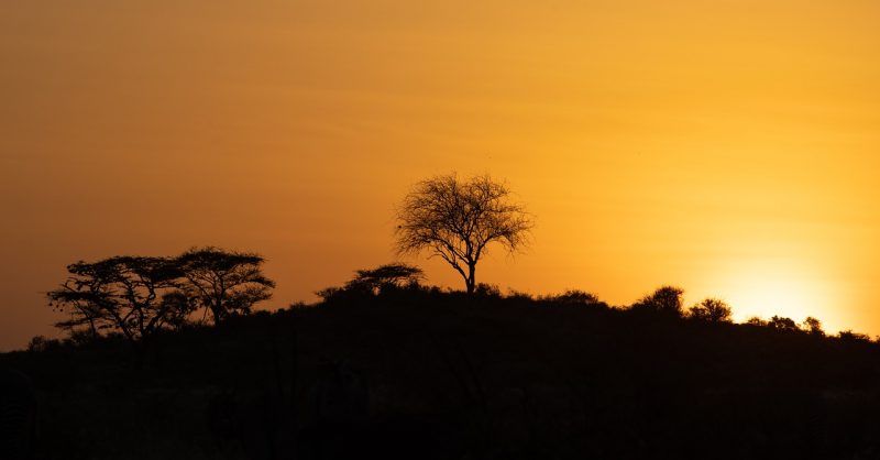 A calm sunrise over Samburu
