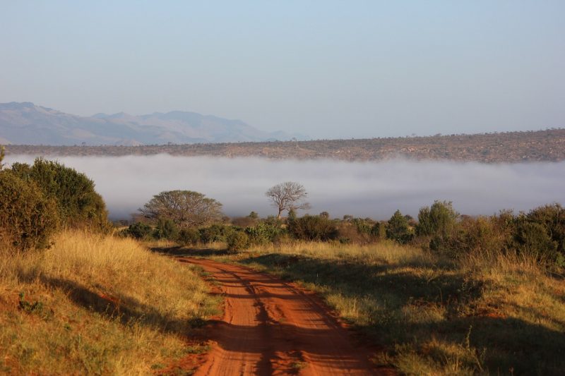 The picturesque Tsavo landscape