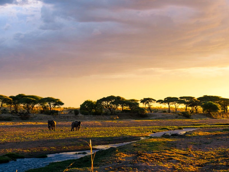 A stunning sunset at Ruaha National Park