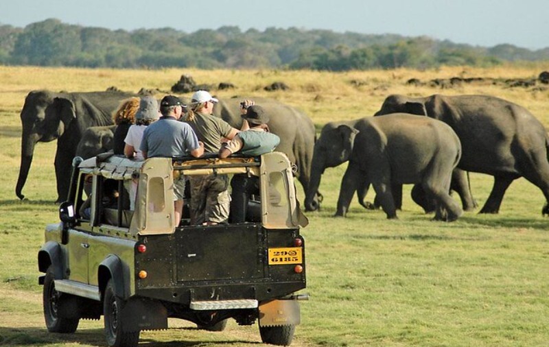 A modern day African safari