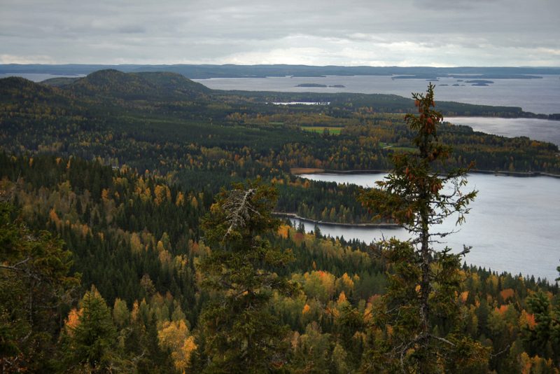 Koli National Park