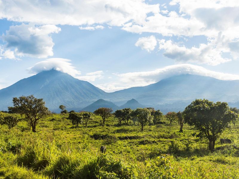 Virunga National Park