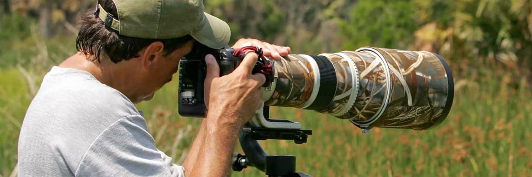 A guide to responsible wildlife photography