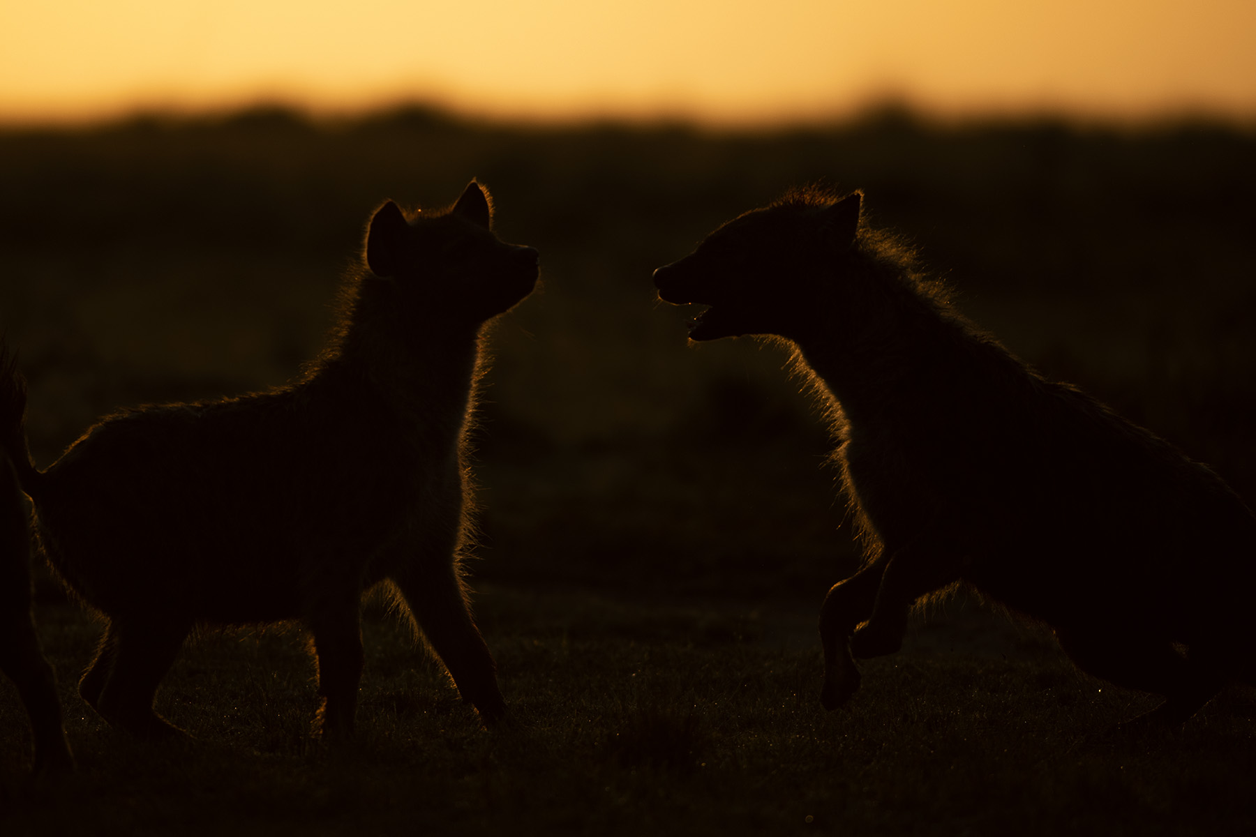 Epic Adventurous Kenya Vacations For Wholesome Fun – WildVoyager